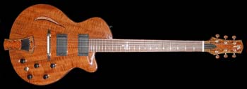 Guitar #048