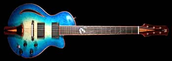 Guitar #049