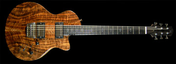 Guitar #100