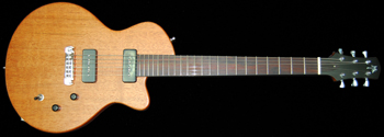 Guitar #101