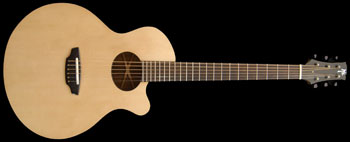 Guitar #105