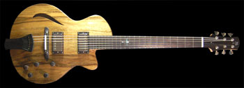 Guitar #113