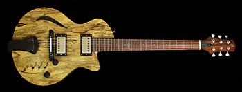 Guitar #116