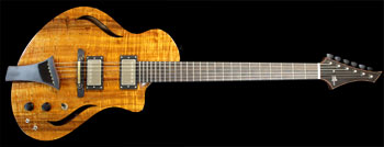 Guitar #177